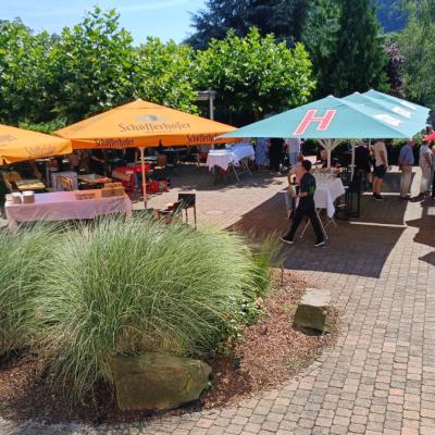 Whatsapp Image 2024 07 27 At 17.29.384